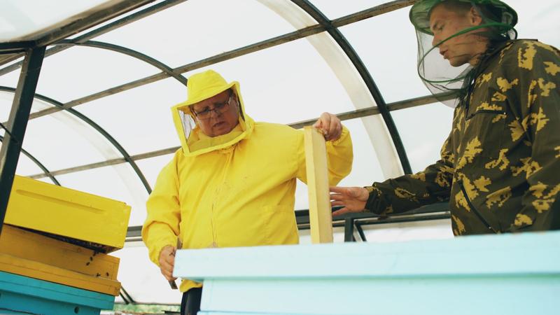 Doi apicultori în costume de protecție extrag rame cu miere din stupi